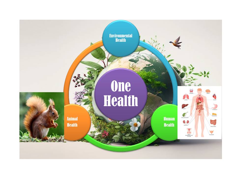 ONE HEALTH TRAINING MODULES